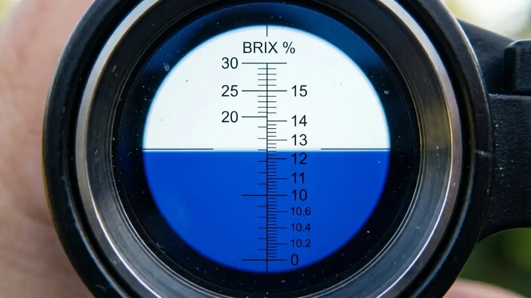 Refractometer eyepiece view showing the Brix scale with the blue-white boundary line at 12 Brix for homebrew measurement